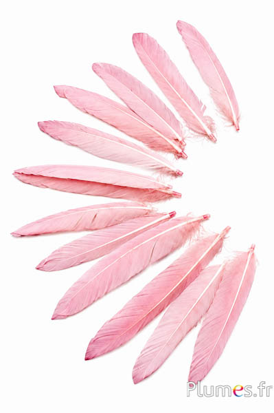 Gans Kopf - 9-11 cm - rosébeige